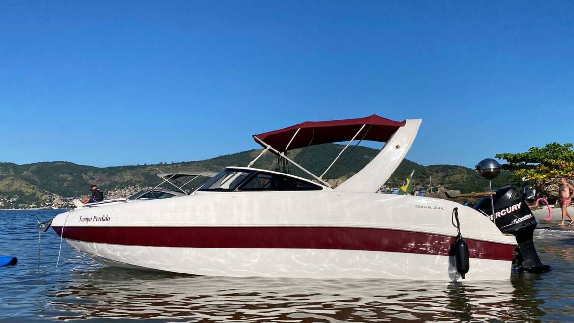 Coral 24